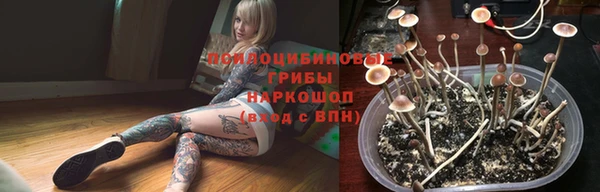 соль ск Михайлов