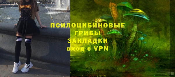 соль ск Навашино
