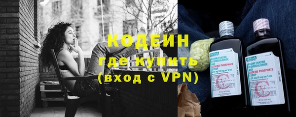 ПСИЛОЦИБИНОВЫЕ ГРИБЫ Вязники