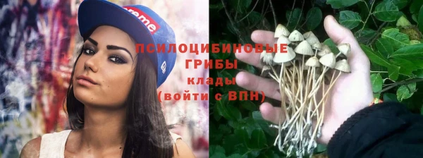 MDMA Михайловск