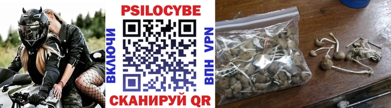 маркетплейс как зайти  кракен tor  Галлюциногенные грибы Psilocybine cubensis  Мосальск  цены наркотик 
