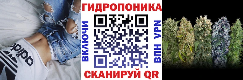 Шишки марихуана OG Kush  Мосальск 